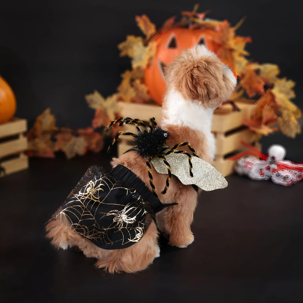 A dog wearing a simple polyester suit costume for a Halloween party.