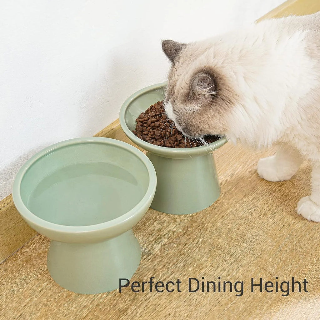 Elevated ceramic cat bowl with wide 16cm diameter and 12cm height in blue colour