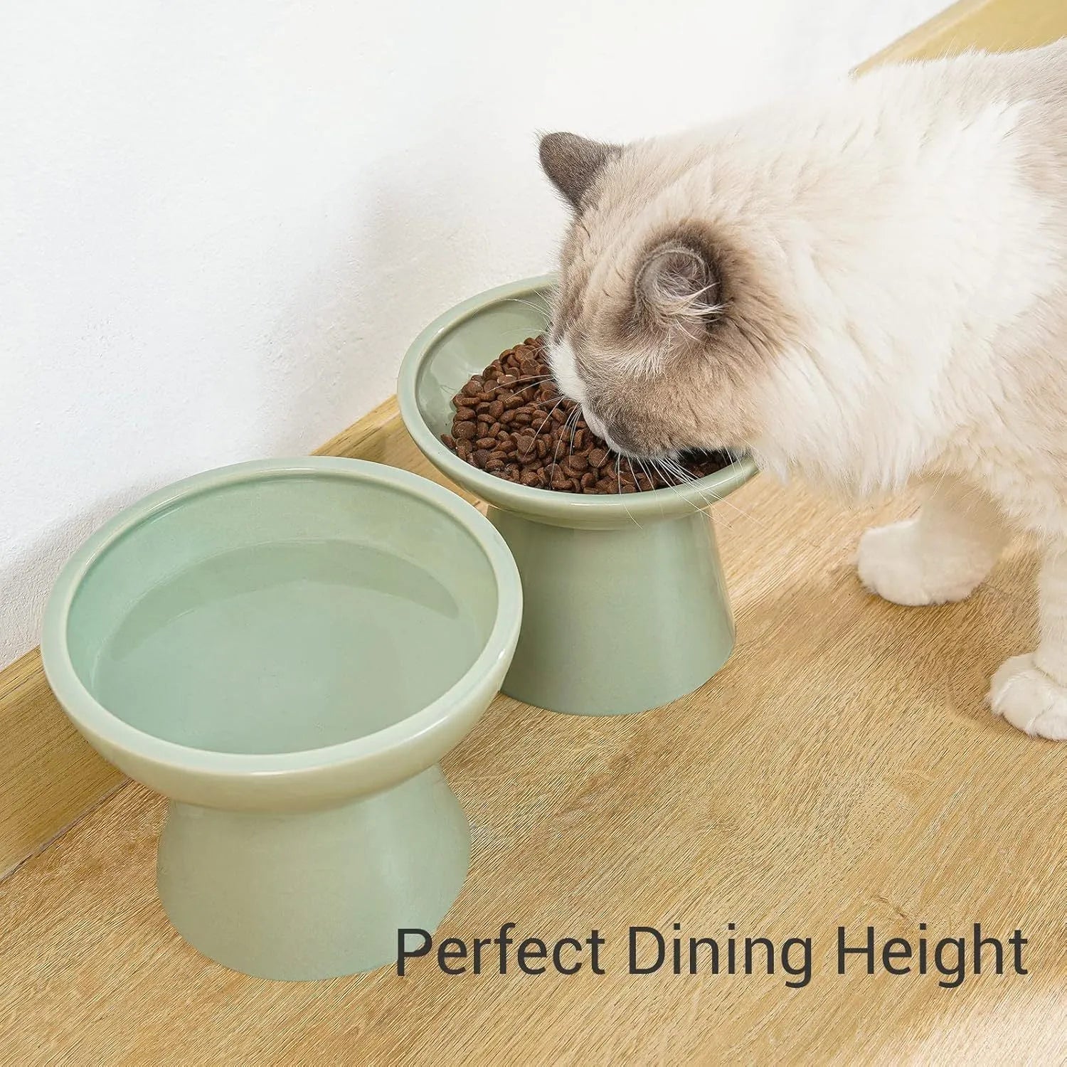 Elevated ceramic cat bowl with wide 16cm diameter and 12cm height in blue colour