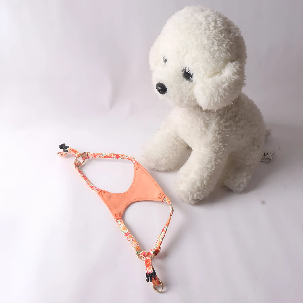 Floral series pet harness suit and leash set in cloth material with multiple colour options
