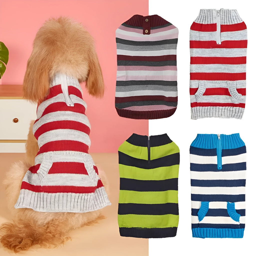 Grey knitted dog sweater on a small dog, showing a contrasting green horizontal zipper and a button chest pocket.