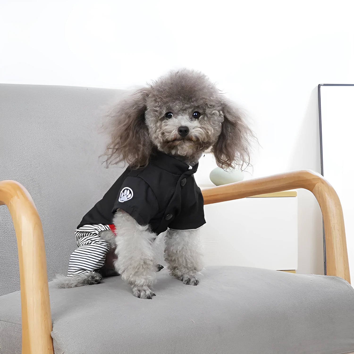 Thin cotton poodle dog clothes in four-legged pants or skirt style for spring, autumn, and summer.