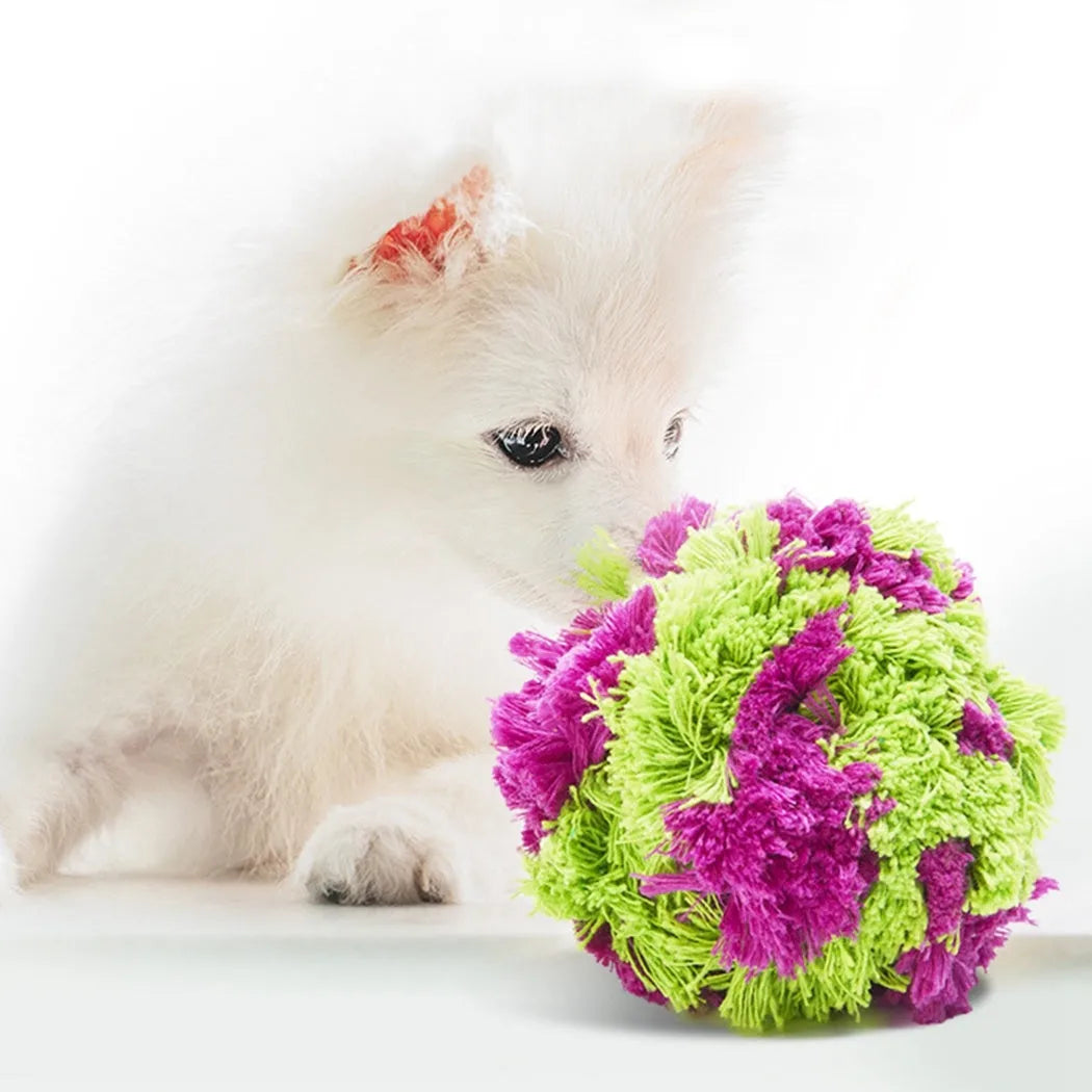 Purple plush seaweed ball dog chew toy for teething and interactive play
