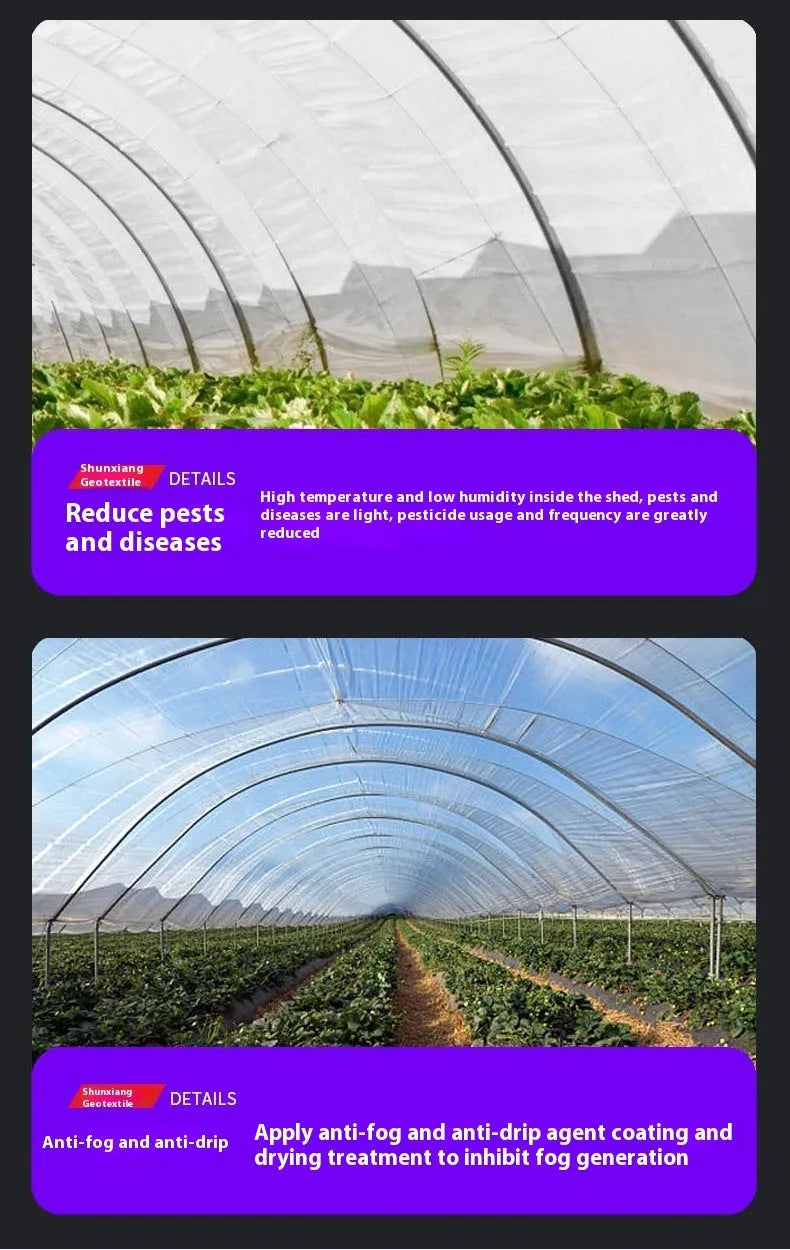 Roll of 4x8 metre plastic cold film for vegetable garden protection