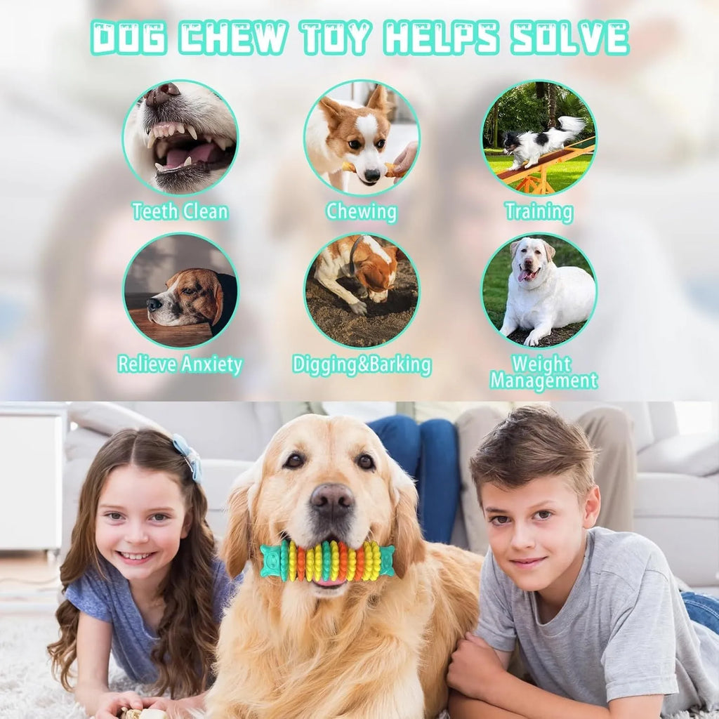 Blue natural rubber caterpillar-shaped chew toy for dogs on a plain background.