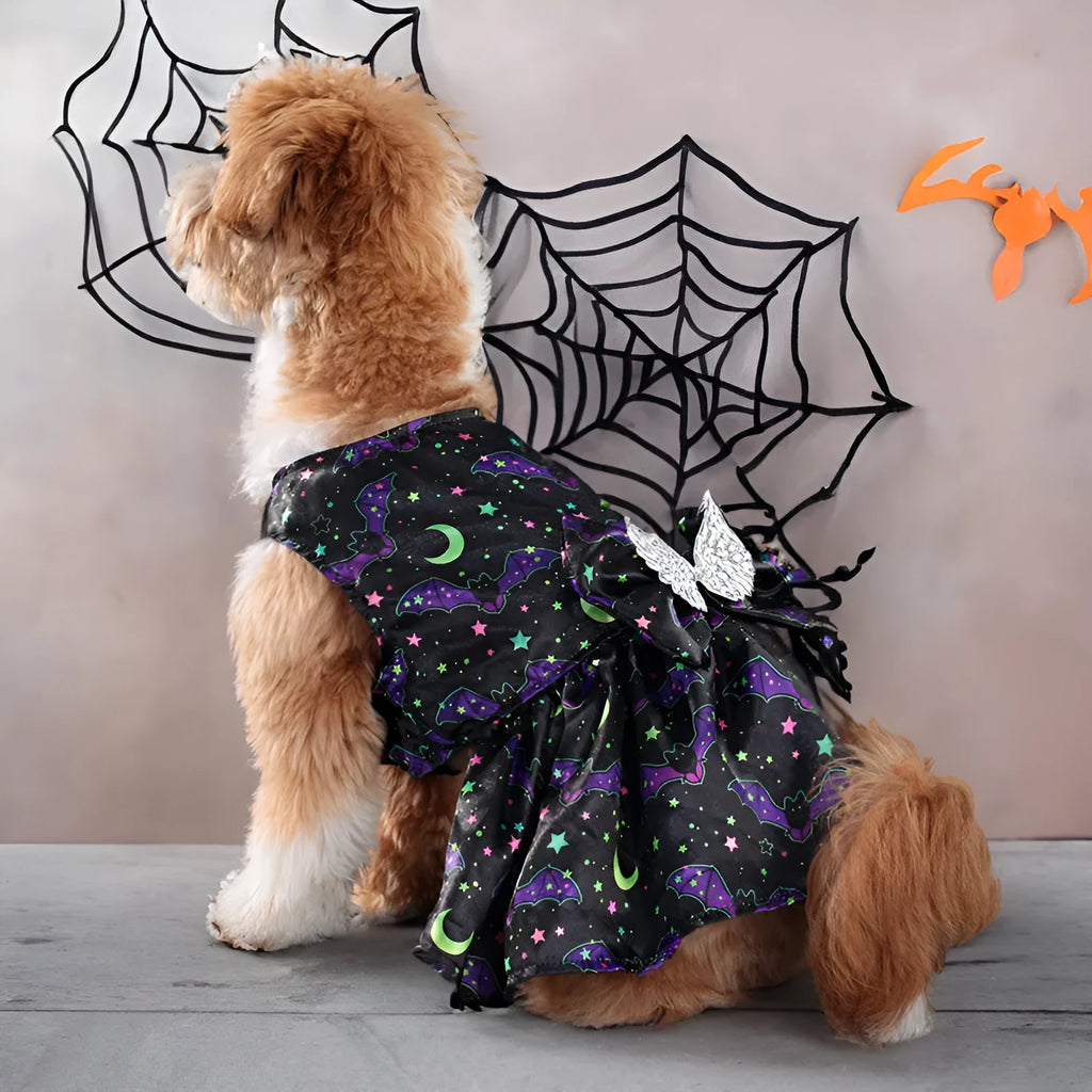 Dog wearing an angel wings Halloween costume in bright pumpkin orange colour.