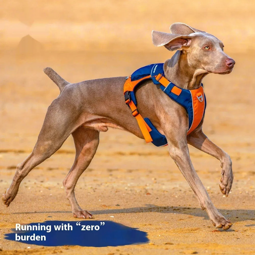 Orange blue nylon dog chest strap vest harness with integrated hand rope leash