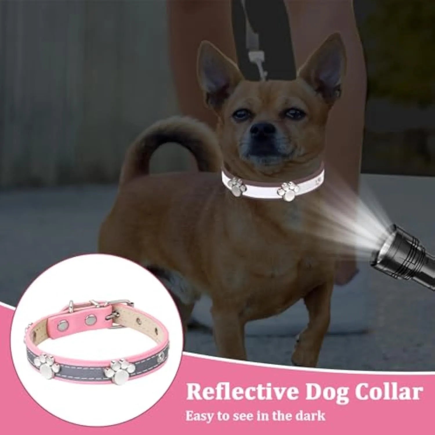 Reflective brown leather dog collar with metal buckle and decorative paw-shaped rivet, shown on a size chart.