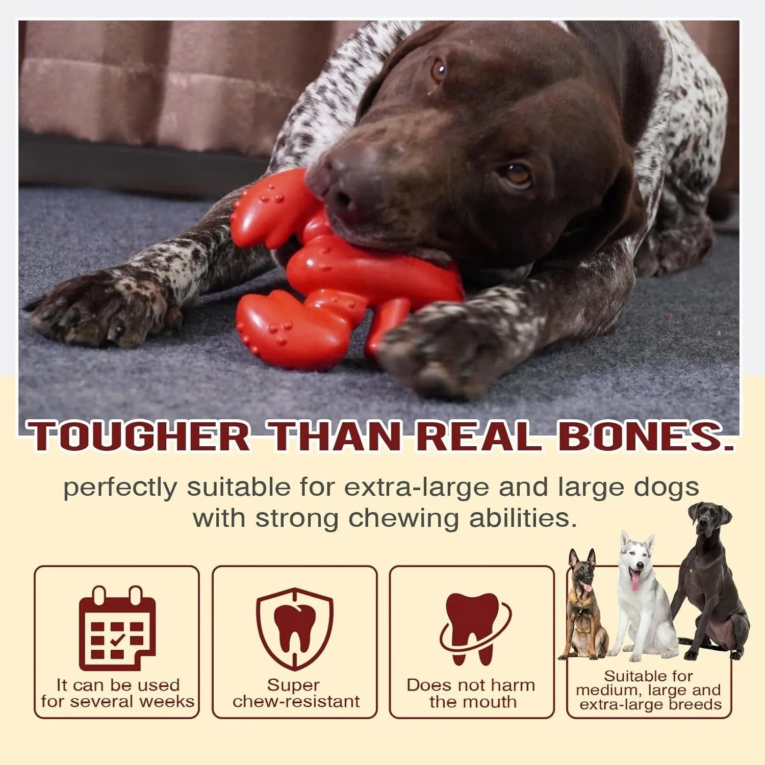 Red nylon chew toy for large breed dogs measuring 170mm long for aggressive chewers
