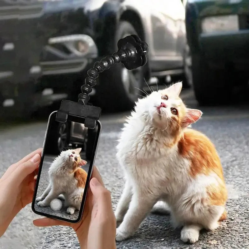 Black pet photography tool with a clip for holding treats and a phone holder on a rotating support