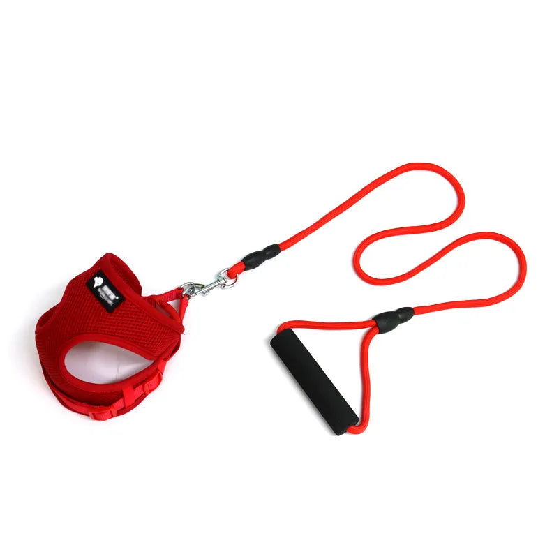 Small dog leash with foam handle in blue colour showing adjustable bust and round rope design