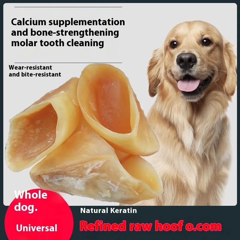 Cowhide dog dental chew in hoof shell colour, showing textured surface and two size options