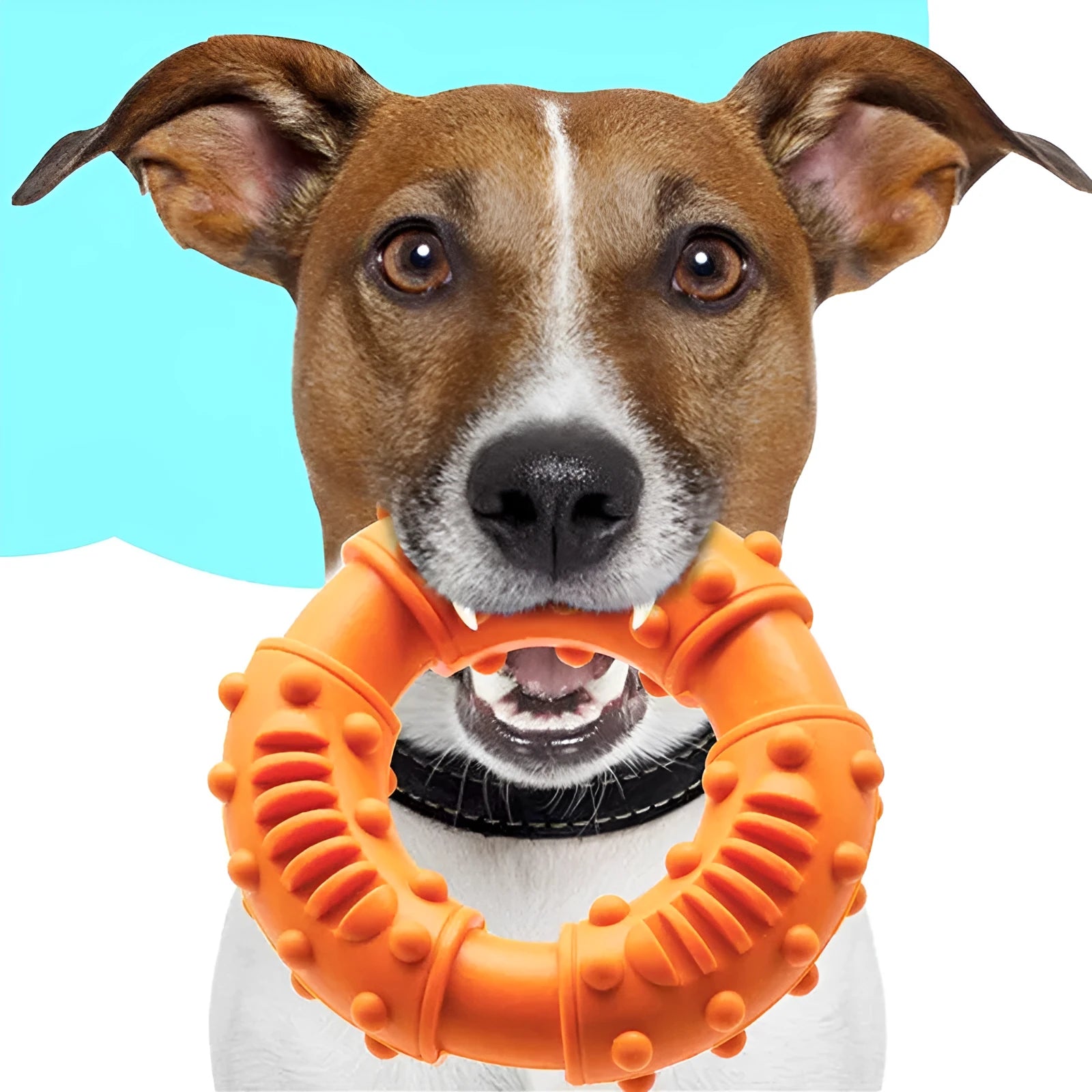 Blue bouncy hollow dog fetching stick toy for large dogs on grass
