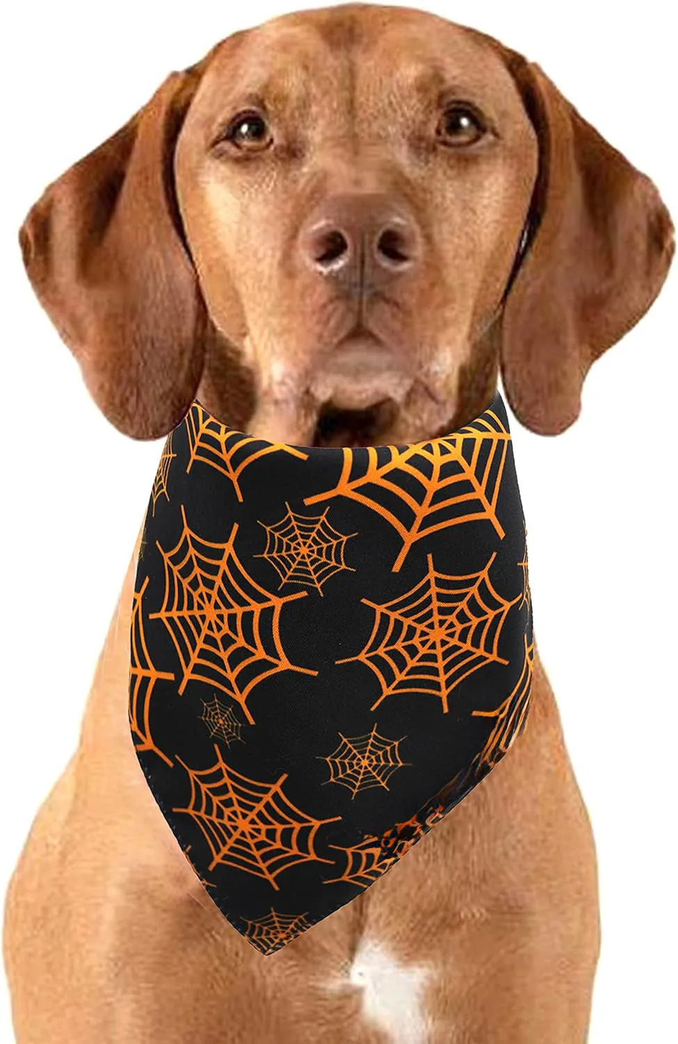 Reversible black and orange Halloween dog bandana with pumpkin and spider web patterns.
