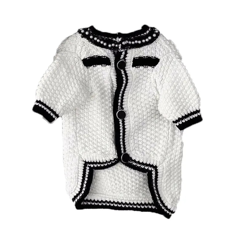 White Korean-style dog sweater with pearl collar detail on a small dog, showing the princess cut and knitted texture.