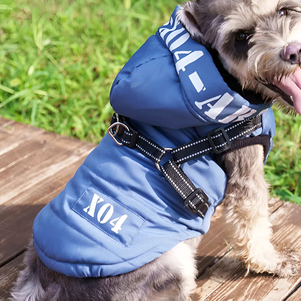 Red waterproof fleece-lined hooded winter jacket for a dog on a size guide.
