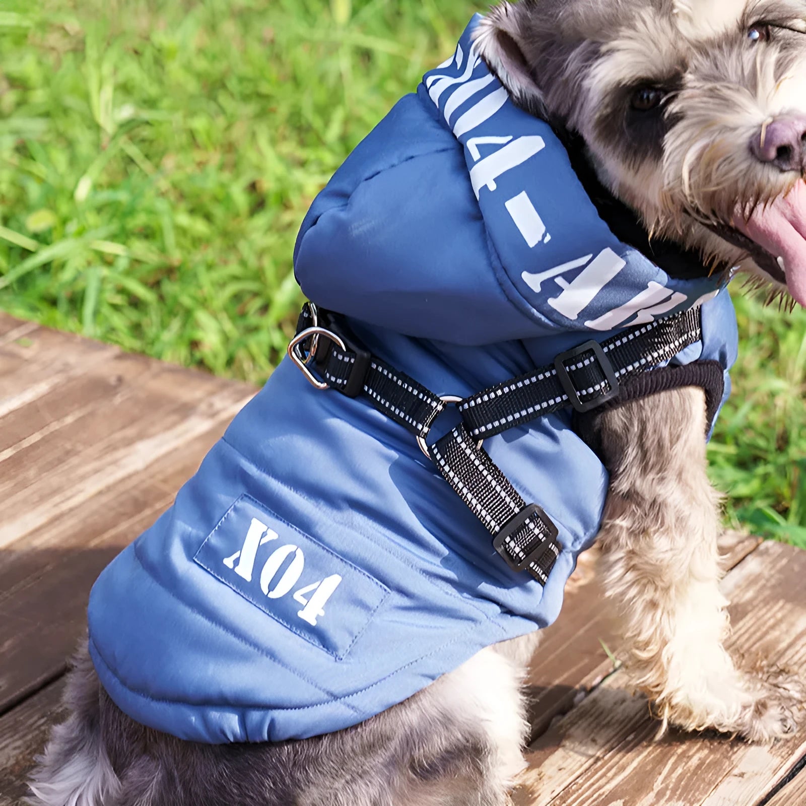 Red waterproof fleece-lined hooded winter jacket for a dog on a size guide.