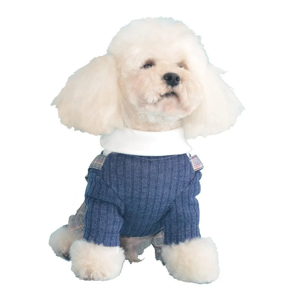 Orange and dark blue cotton dog shirt for small breed dogs in sizes S to 2XL