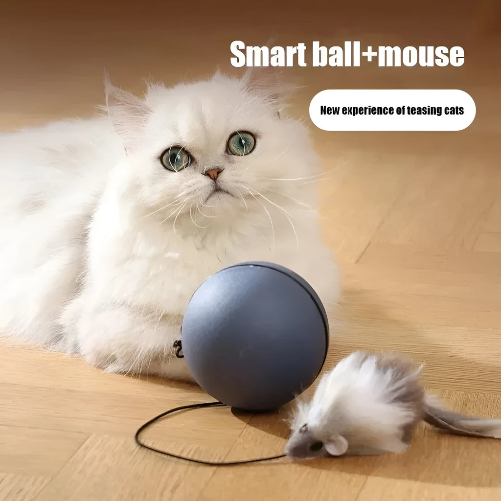Automatic cat teasing ball toy with attached grey plush mouse on a blue and orange plastic ball