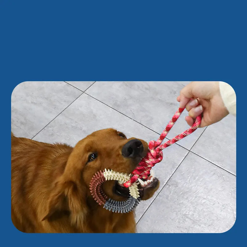 43cm blue braided rope dog toy with knots for teething and interactive play