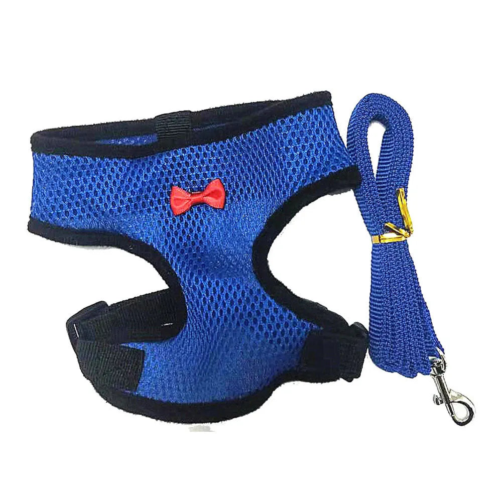 Coloured chicken harness vest with attached collar and long rope for pet poultry walking control