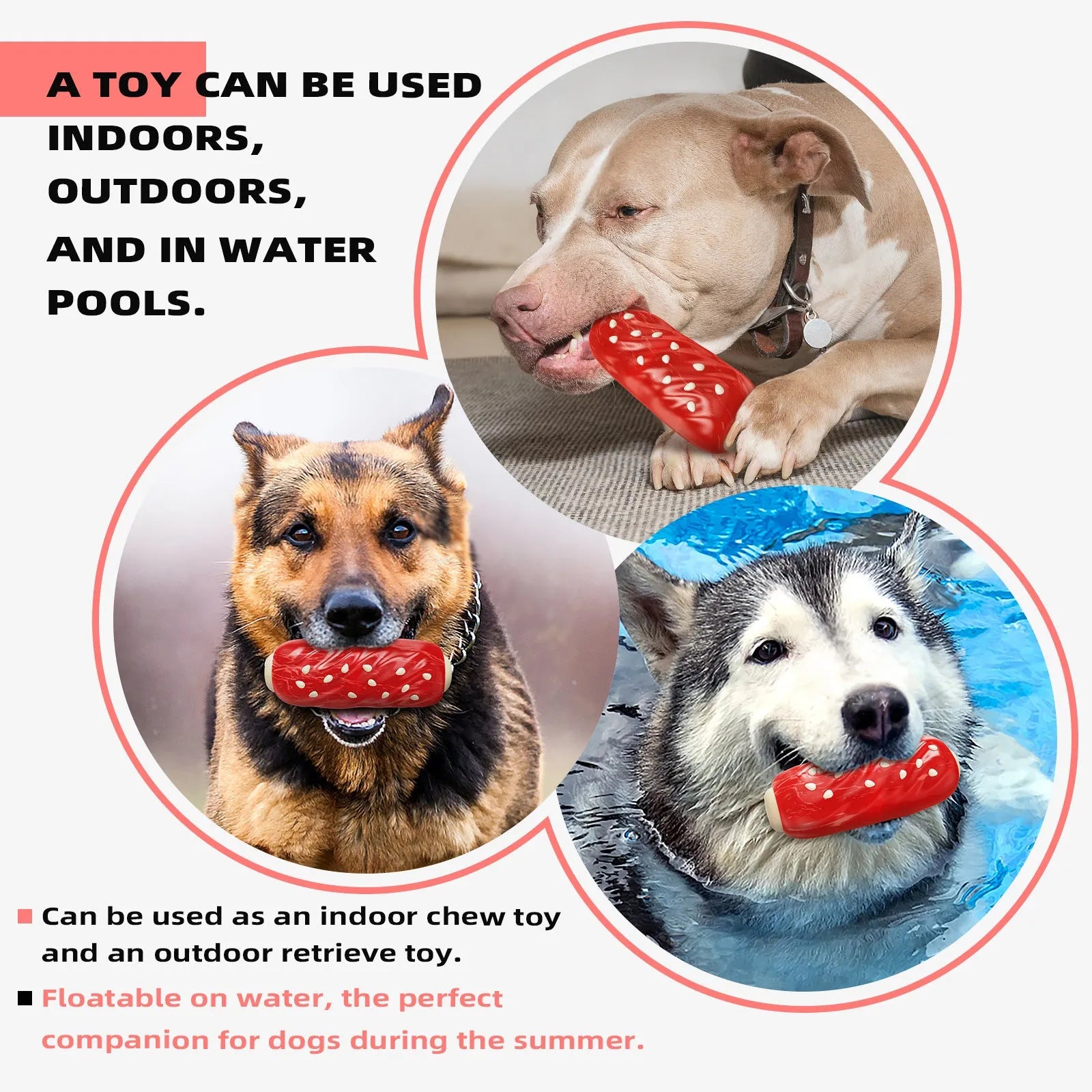 Primary colour plastic molar rod dog chew toy for dental cleaning and teething relief.