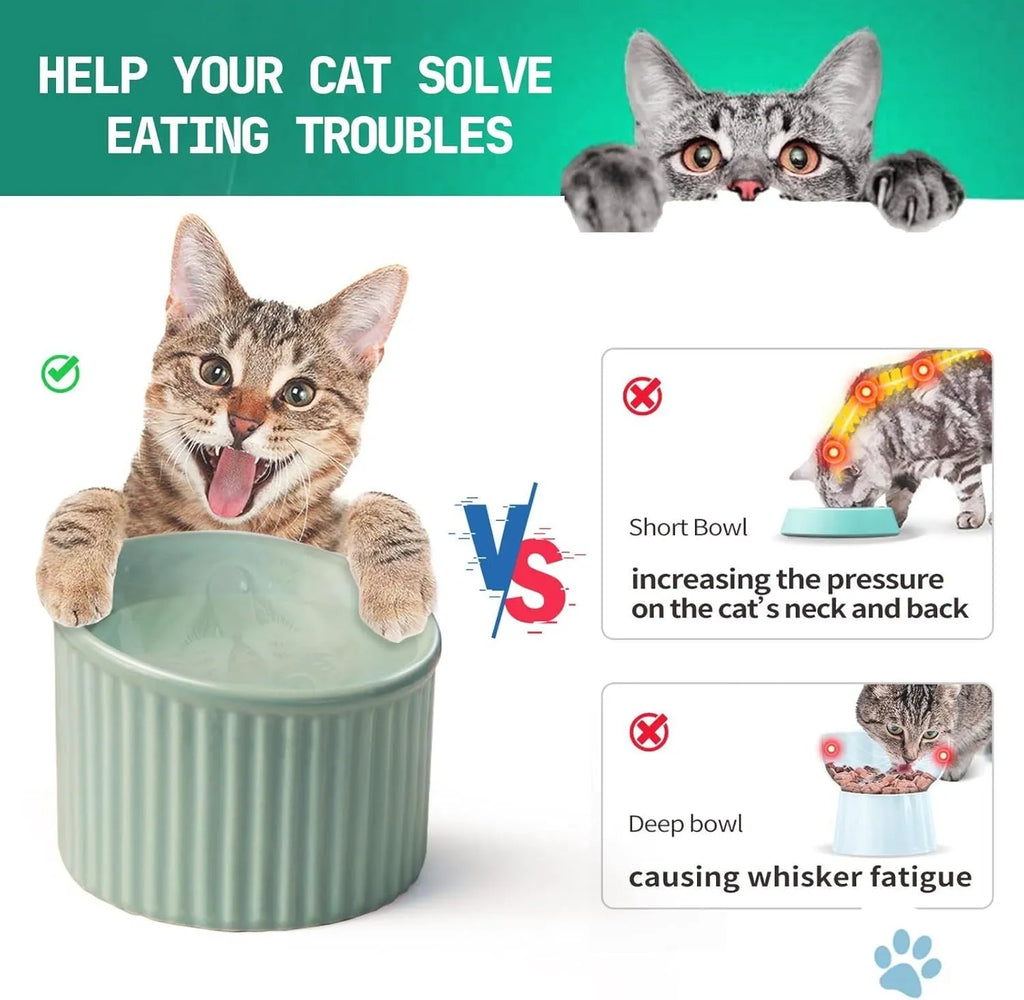 Ceramic elevated cat bowl in green colour showing tilted design for whisker comfort