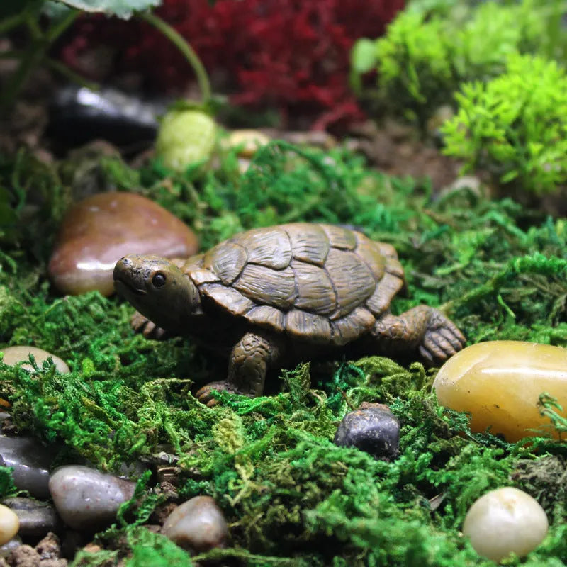 Small resin simulation turtle ornament for miniature garden and terrarium decoration.