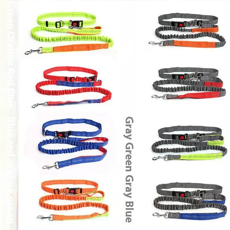 Grey and green reflective nylon dog leash with elastic sling for outdoor pet control