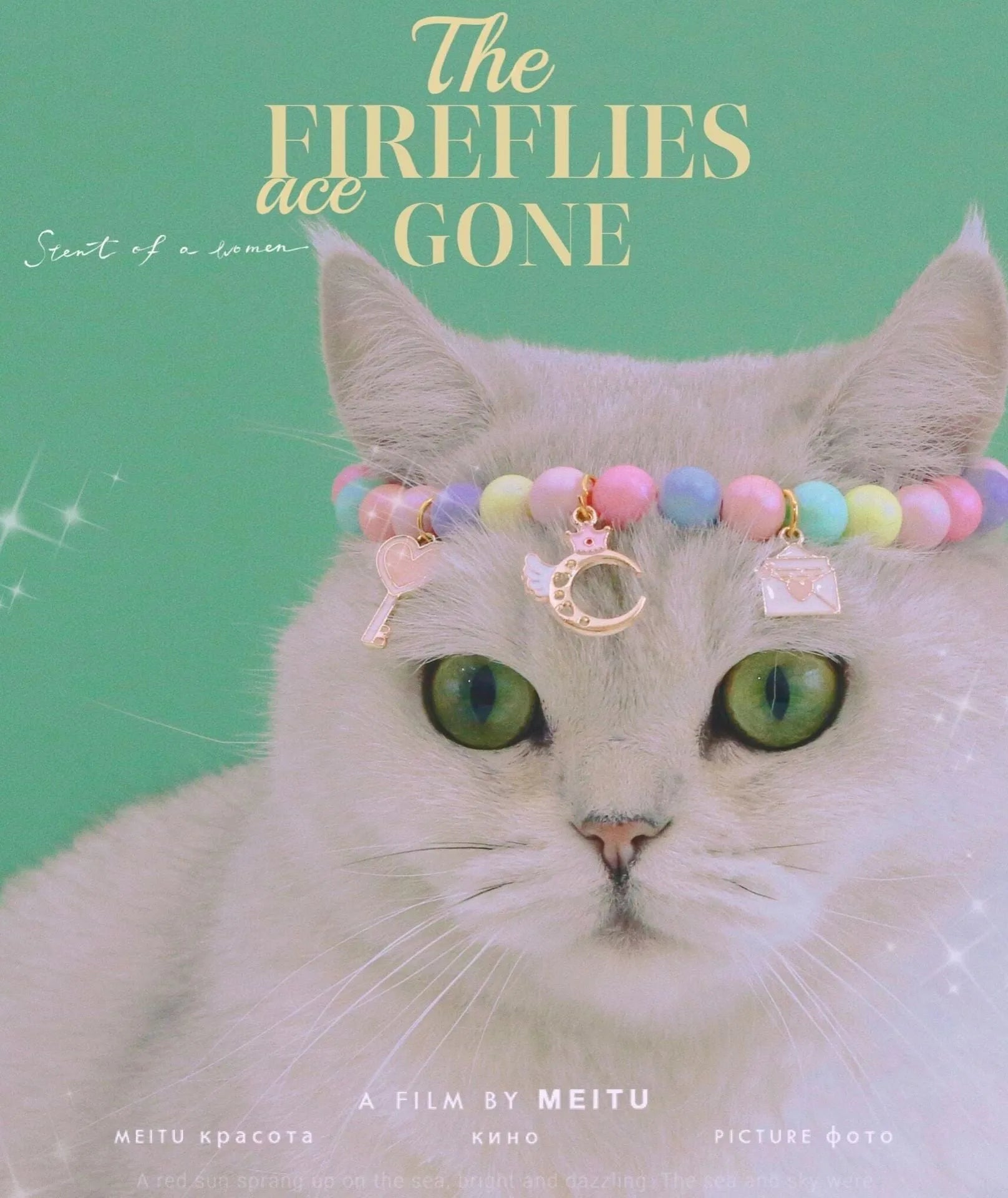 Colourful macaron-style resin pet headdress collar with adjustable sizing for cats and dogs, includes matching bracelet.