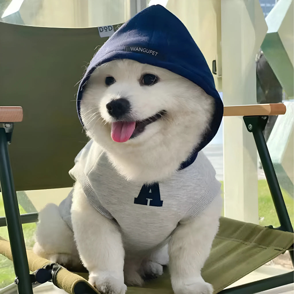 Blue slim-fit pet hoodie with reflective lettering shown on a dog, size options displayed