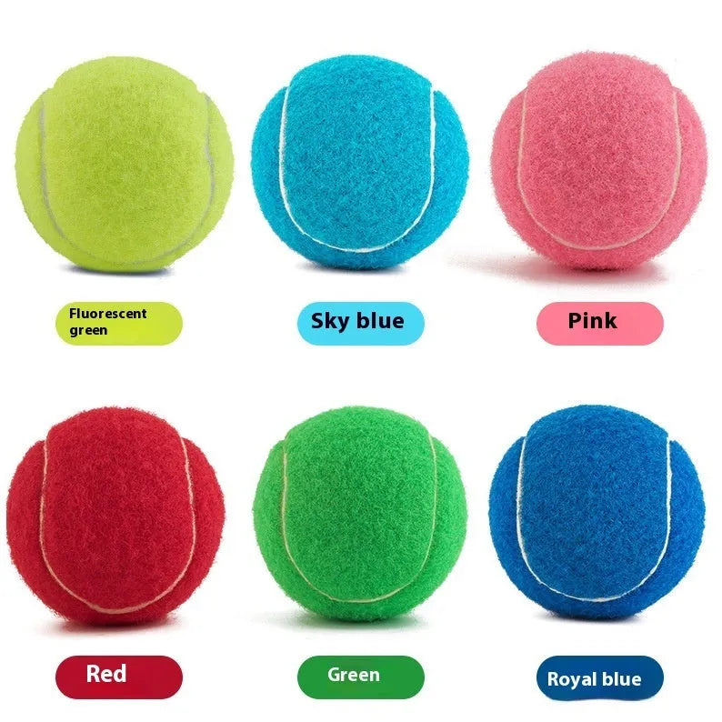 Bite-resistant rubber dog tennis ball in 6.3cm size showing bright colour options
