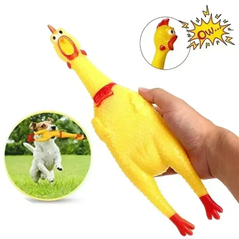 Yellow rubber screaming chicken dog chew toy with squeaker, shown in small, medium and large sizes.