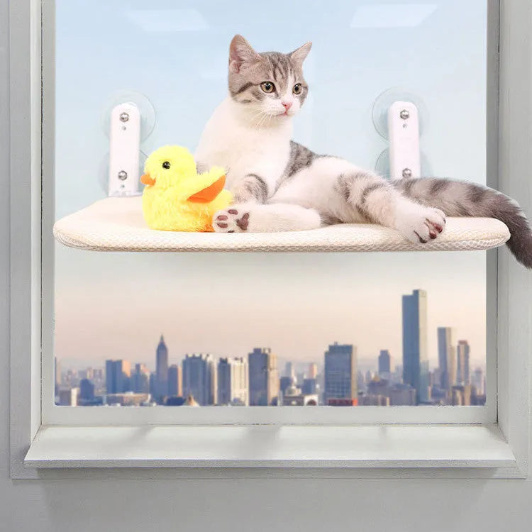 Stainless steel frame cat hammock with suction cups mounted on window
