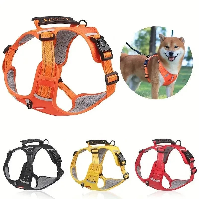 Multi-colour polyester dog chest harness with attached lead in sizes for small to large breeds.