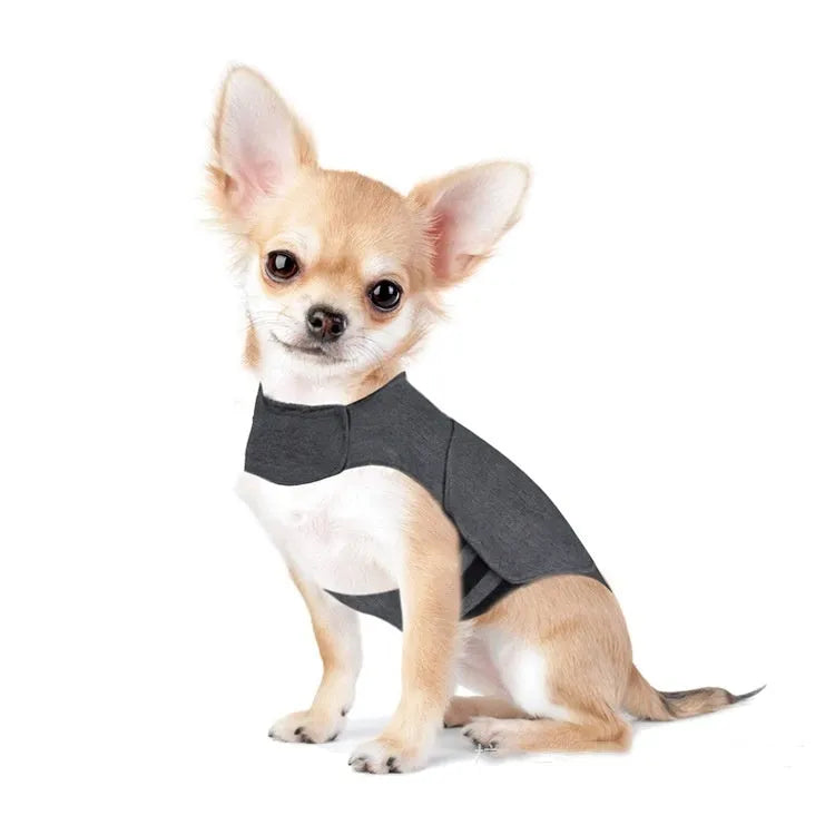 Heather grey dog anxiety calming vest on a model dog, showing soft fabric and snug fit.