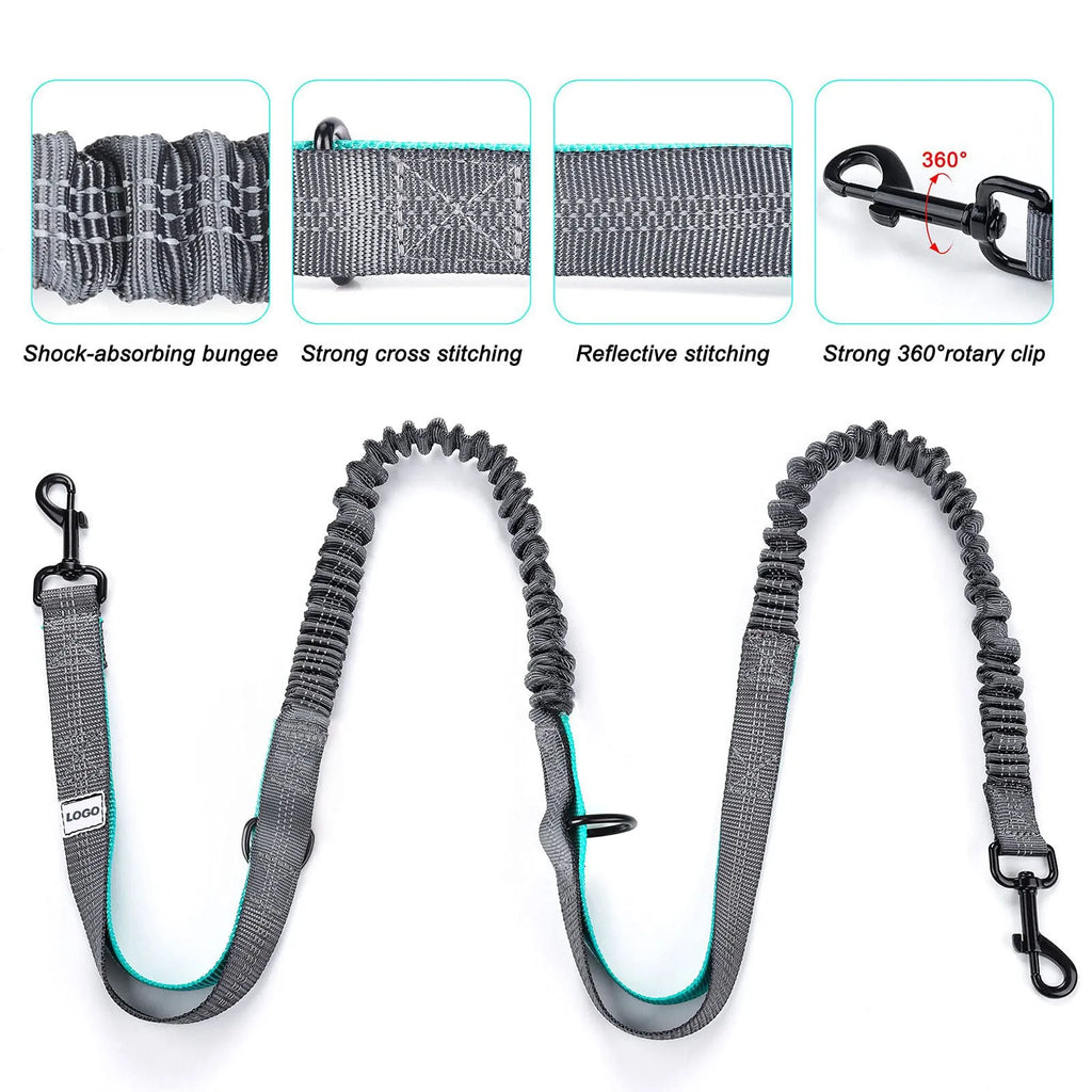 Black nylon pet training waist bag with dog leash set for outdoor walking