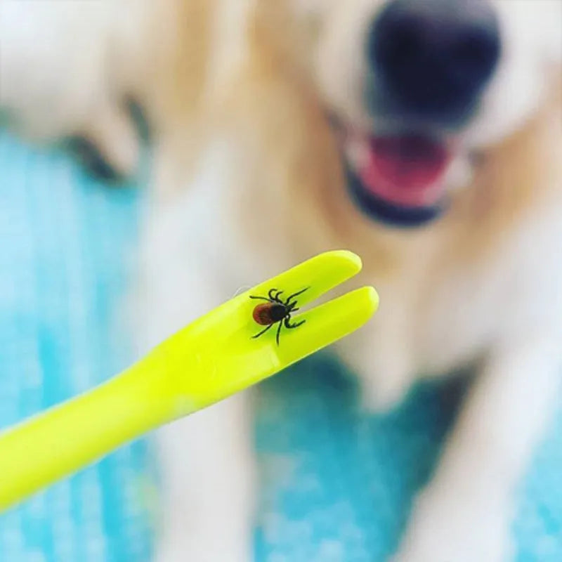 Three plastic tick removal hooks for pets in blue and green colours