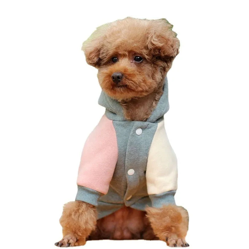 Brown cotton pet sweatshirt for a small dog on a sofa.