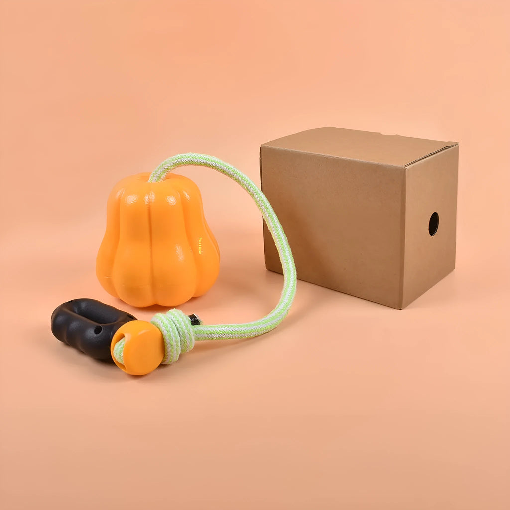 Orange plastic dog toy with rope attachment for outdoor throwing games