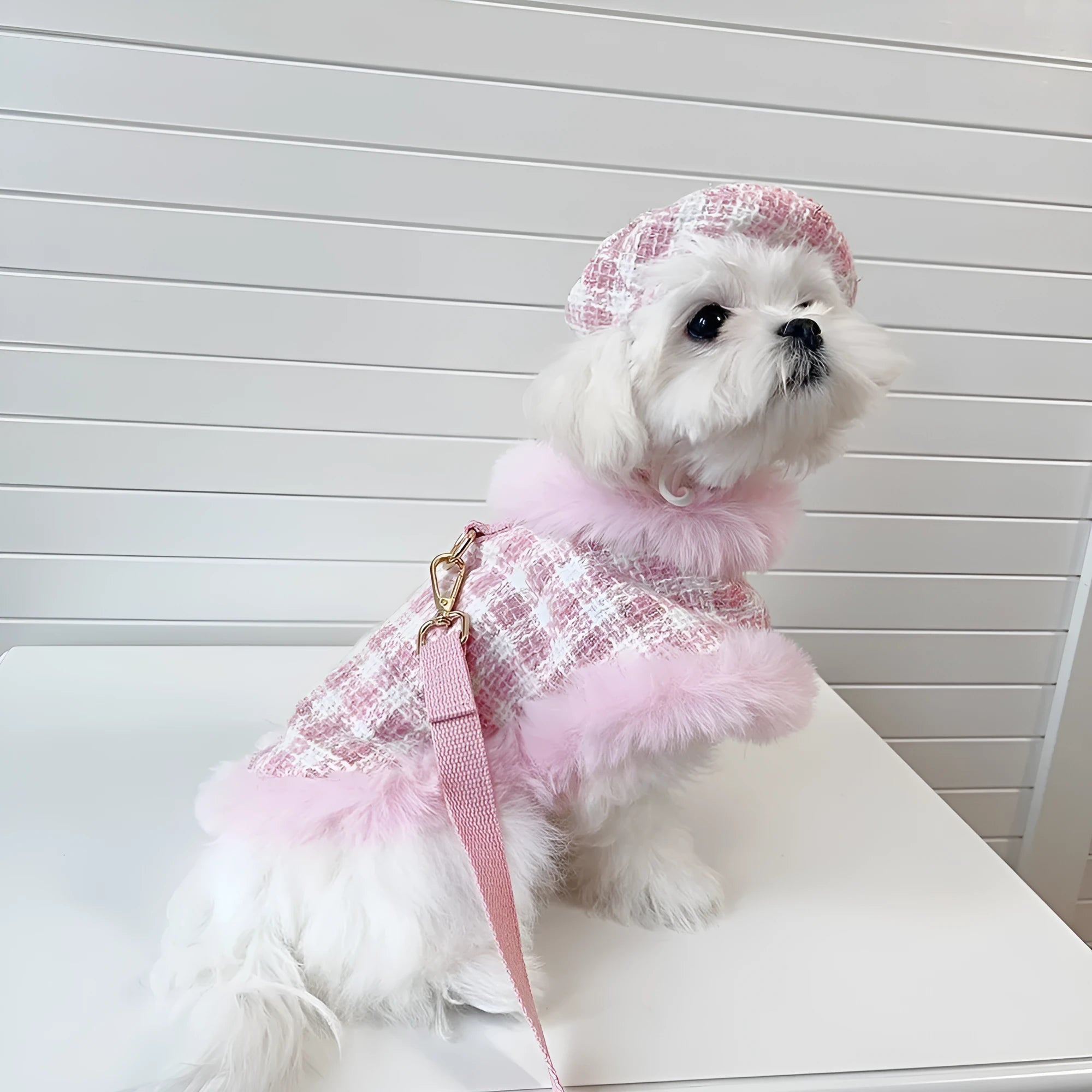 Pink polyester cat costume set with beret, cloak featuring hand holding rope, and drawstring