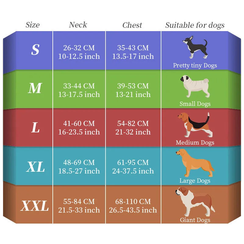 Seven-colour changing LED dog walking lead with USB charging cable in waterproof nylon