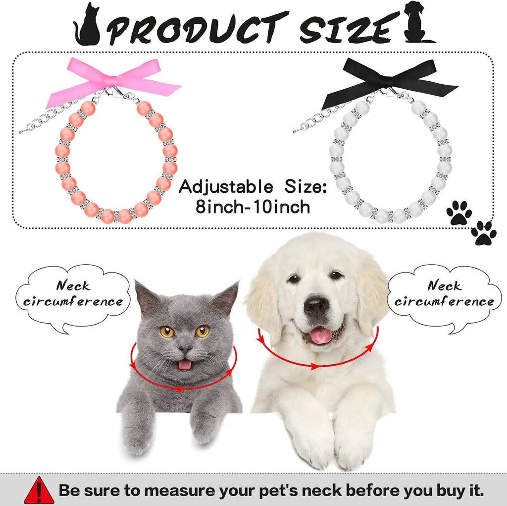 Small dog wearing a blue imitation pearl and rhinestone necklace with a ribbon bow.