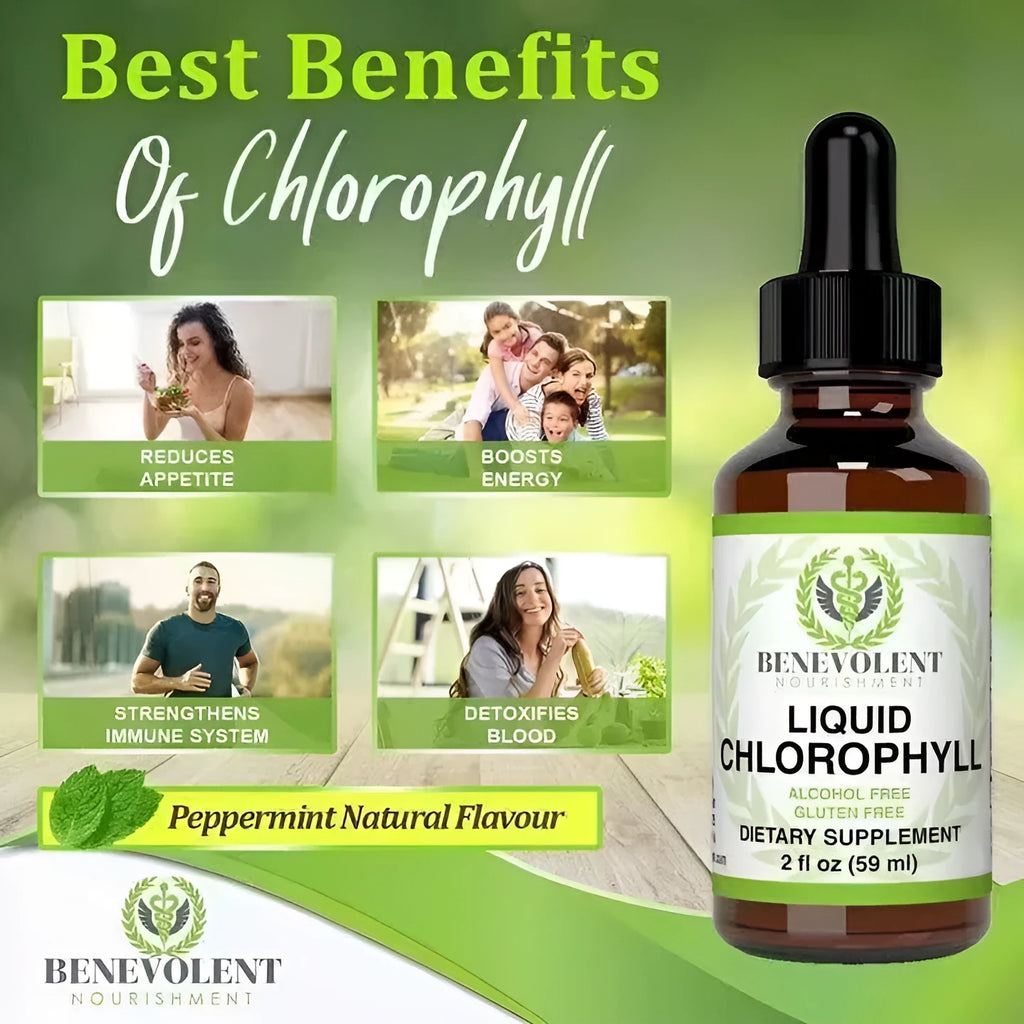 60ml bottle of peppermint-flavoured liquid chlorophyll drops with dropper for adult digestive care