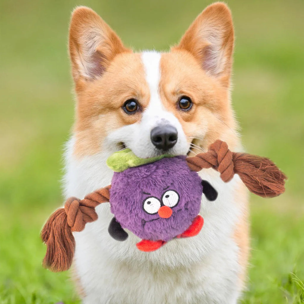 Green interactive dog toy with plush fabric, rope knots, and built-in squeaker for tug of war games