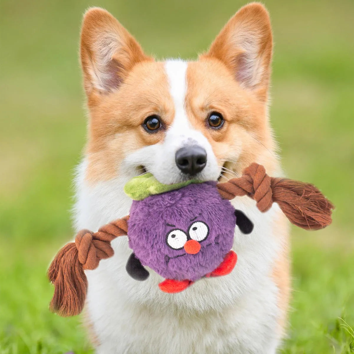 Green interactive dog toy with plush fabric, rope knots, and built-in squeaker for tug of war games