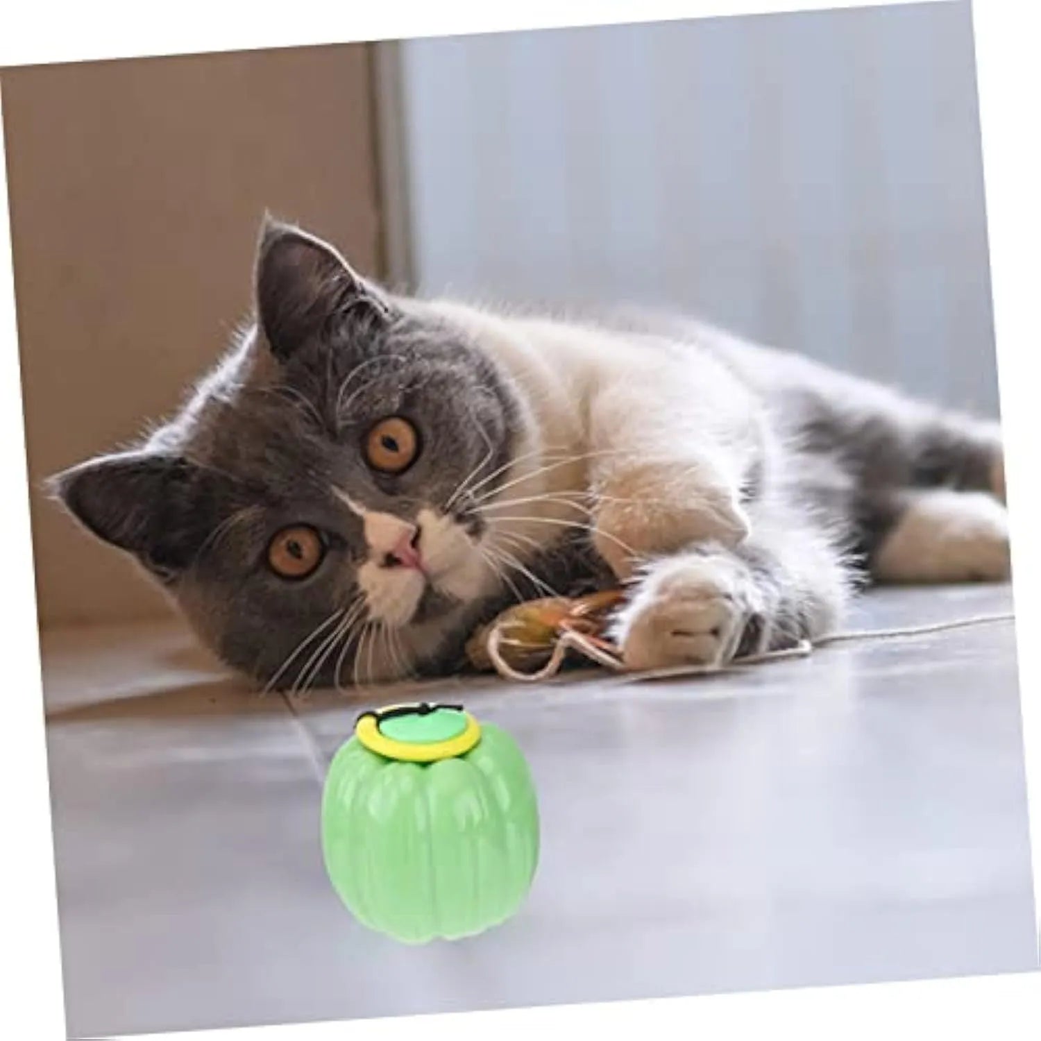 Green, orange and yellow 68mm plastic squeaker dog chew ball toy for small dogs