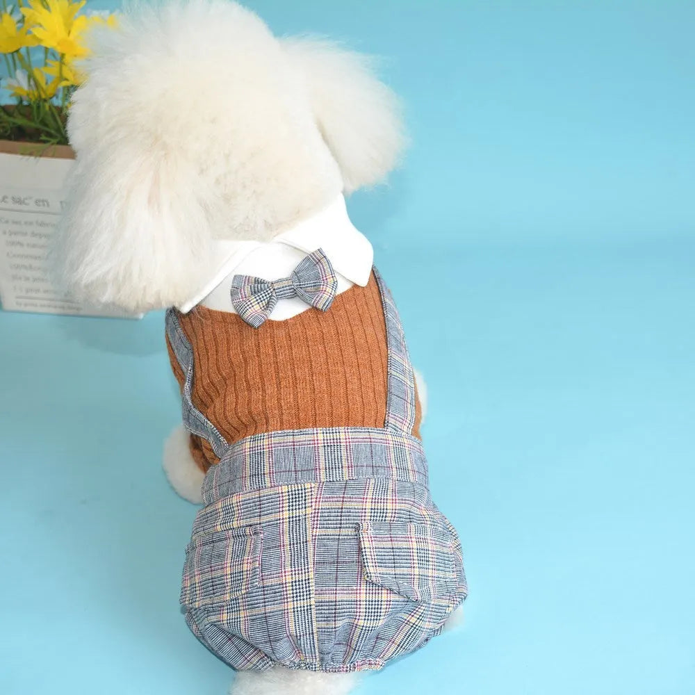 Orange and dark blue cotton dog shirt for small breed dogs in sizes S to 2XL