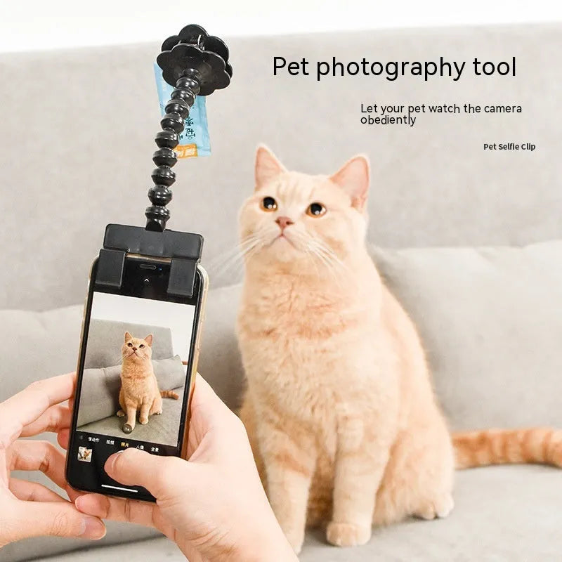 Black pet photography tool with a clip for holding treats and a phone holder on a rotating support