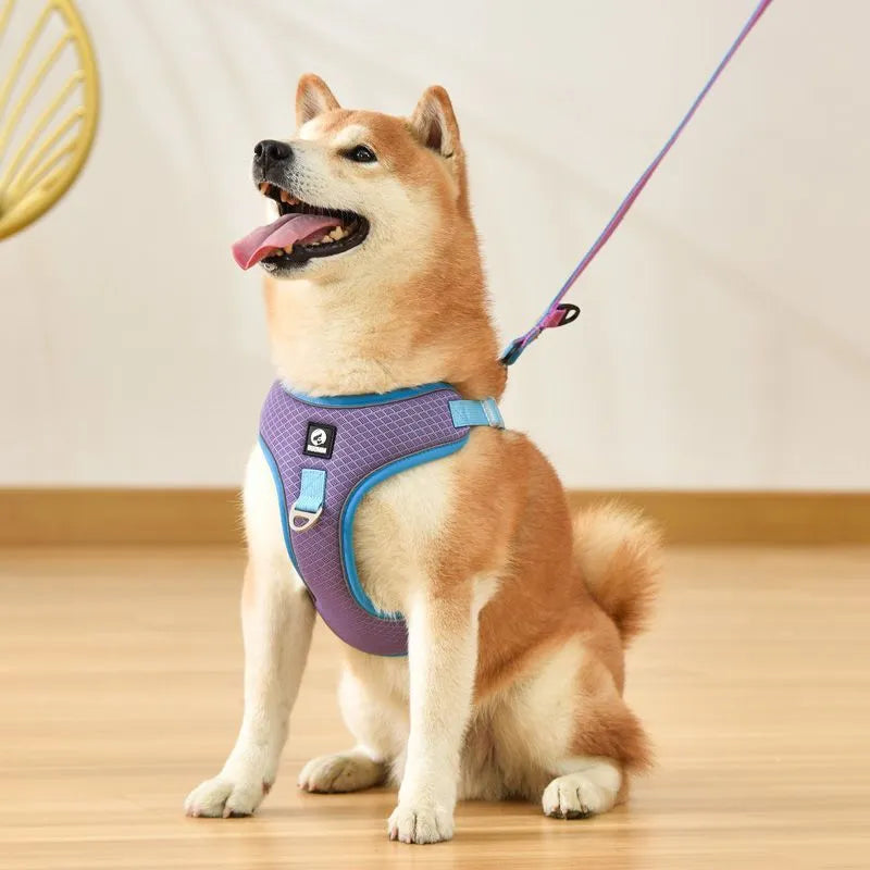Adjustable breathable mesh dog harness with reflective trim in black, red, gray, or light purple
